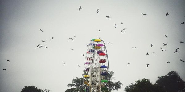 Штормовая погода в Приморье продержится три дня