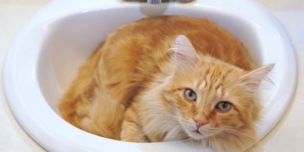 В некоторых домах Владивостока горячей воды не будет до 22 сентября