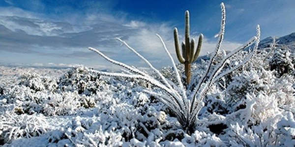 Погодная аномалия: в Мексике идет снег