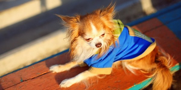 Температура воздуха в Приморье пошла на повышение