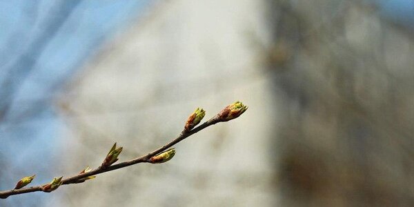 Погода в Приморье взяла курс на потепление