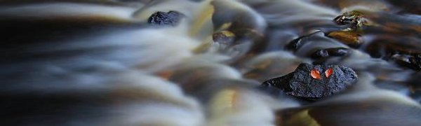 Паводковая ситуация в Приморье стабилизируется