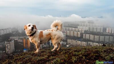 Неустойчивая погода сохраняется в Приморье