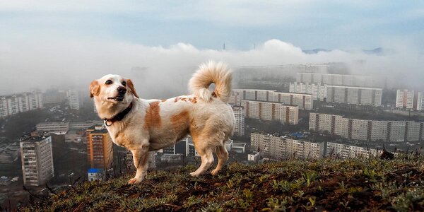 Неустойчивая погода сохраняется в Приморье