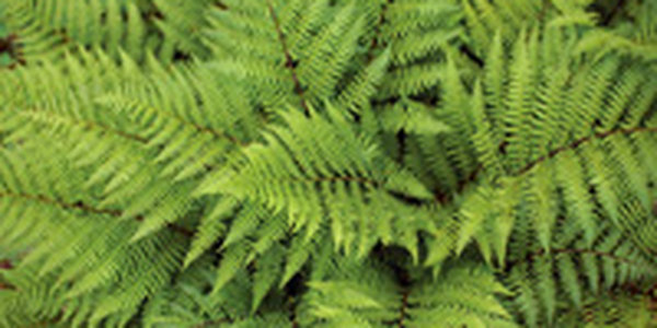 Дождливые выходные в Приморье