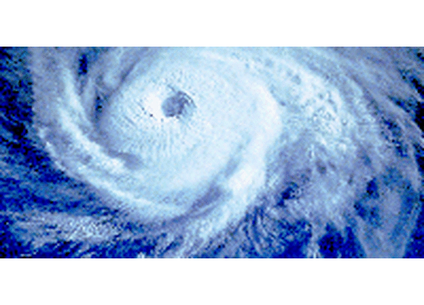 На свет появился тайфун GUCHOL