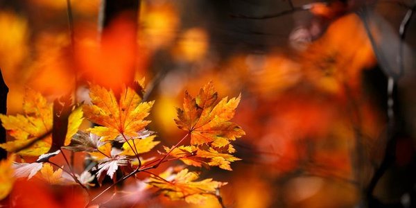 В среду погода во Владивостоке вновь наладится