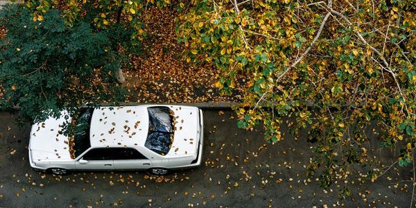 Чем дышал Владивосток с 11 по 20 октября?