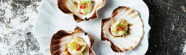 Фестиваль гребешка проходит во Владивостоке