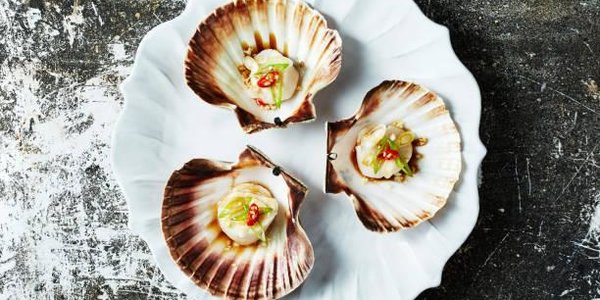 Фестиваль гребешка проходит во Владивостоке