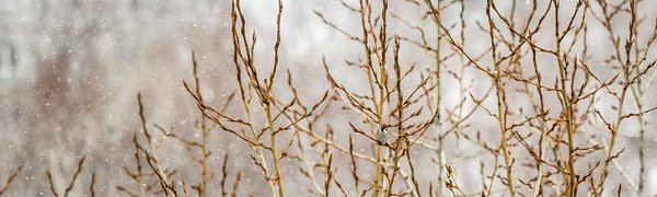 Незначительное ухудшение погоды ожидает Приморье в конце недели