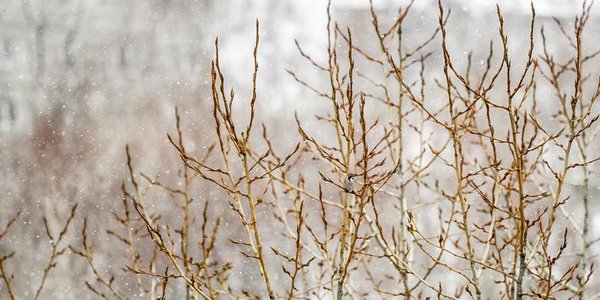 Незначительное ухудшение погоды ожидает Приморье в конце недели