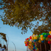 Во Владивостоке открылся уличный кинотеатр