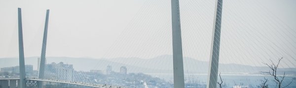 Чем дышал Владивосток с 12 по 20 января?