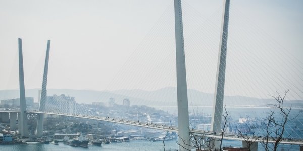 Чем дышал Владивосток с 12 по 20 января?