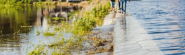 Хабаровский край продолжает страдать от последствий тайфуна «Чан-Хом»