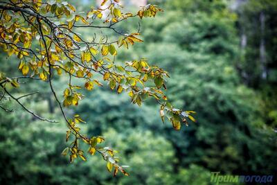 Среднесуточная температура была ниже нормы на выходных