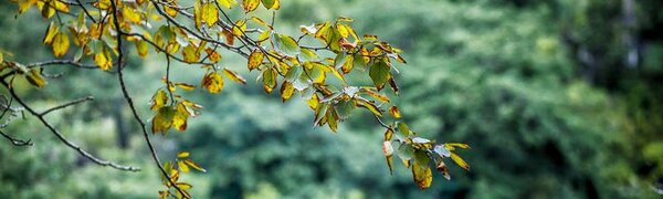 Среднесуточная температура была ниже нормы на выходных