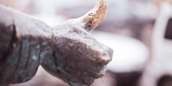 Небольшой дождь пройдет местами в южной половине Приморья в пятницу