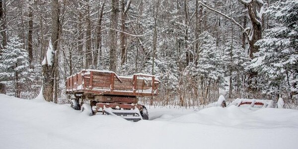 Активный циклон ухудшит погоду в Приморье в четверг