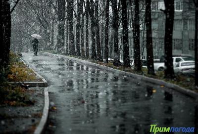 Дождь, переходящий в снег, ожидается в Приморье на следующей неделе