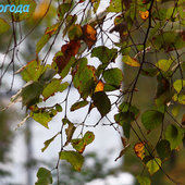 Владивосток: Осенние прогулки