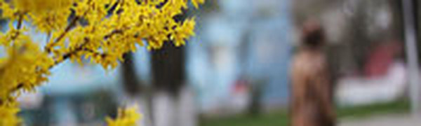 Какая погода ожидает нас на выходные дни?