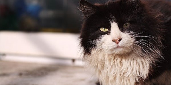 Затишье перед бурей: в Приморье солнечно и маловетрено