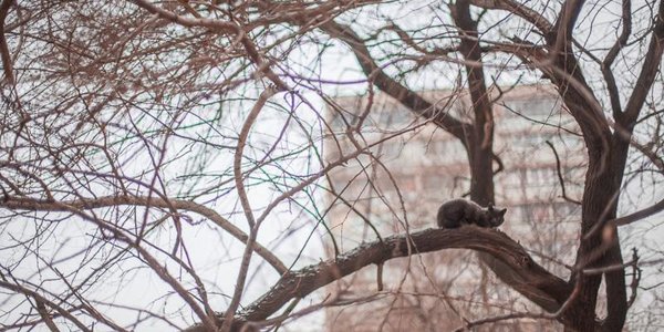 В выходные в Приморье станет теплее, возможен небольшой снег