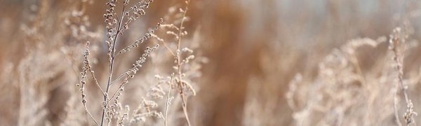 На следующей неделе в Приморье будет преобладать холодная погода