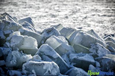 Сильный ветер не позволяет окрепнуть льду в Амурском и Уссурийском заливе