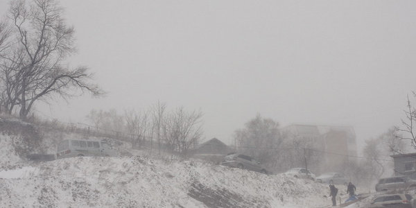 В Приморье пройдут снегопады