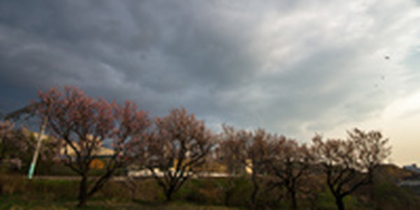 Завтра в Приморье пройдут небольшие и умеренные дожди