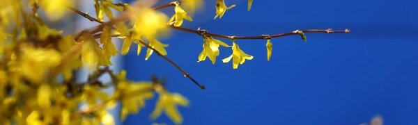 Апрель в Приморье завершается солнечной погодой