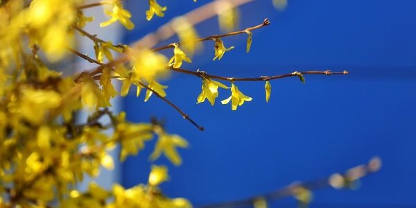 Апрель в Приморье завершается солнечной погодой