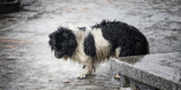 Первая декада февраля была влажной