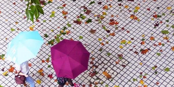 Тайфун «Фонг-Вонг» атаковал Китай