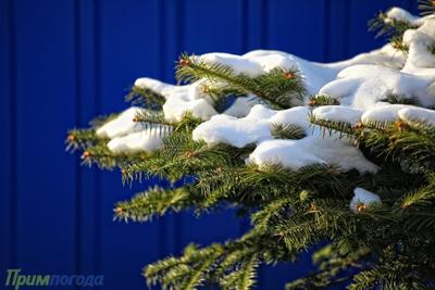 В Приморье настала метеорологическая зима