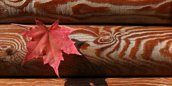 В пятницу в Приморье ожидается погода без осадков