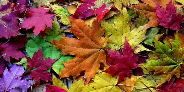 Тепло снова возвращается в Приморье