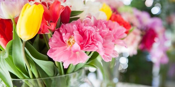 На большей территории Приморья днем воздух прогреется до 0...+6 °С