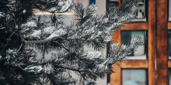 Погода в Приморье может резко ухудшиться в начале следующей недели