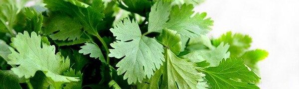 Названы продукты, которые полезны в условиях эпидемии