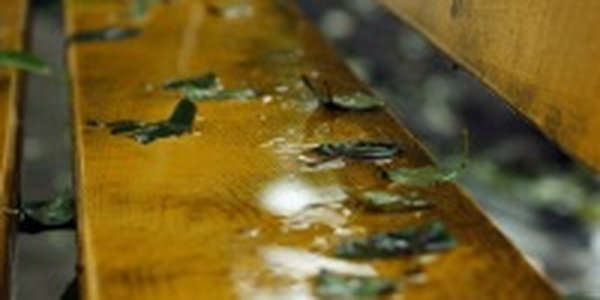 На день ВМФ дожди сменятся солнцем и духотой