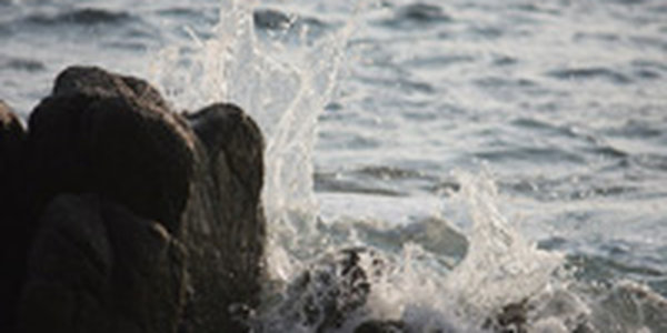 Выходные в Приморье будут пасмурными