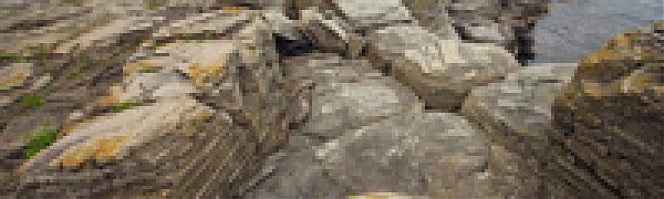 Прогулка по мысу Тобизина