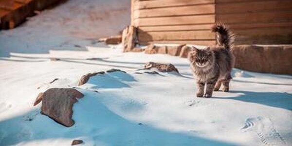 Долгожданное потепление начнется в Приморье в четверг