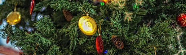 В предпоследние выходные года холод вновь придет в Приморье 