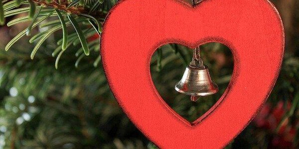 Продажи новогодних ёлок стартовали во Владивостоке (АДРЕСА) 