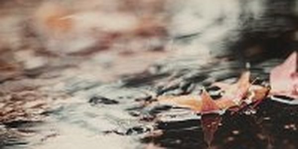 К Приморью приближается холод